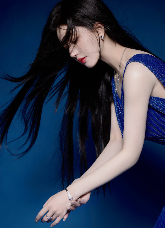 猫咪mv最新永久地域猫咪